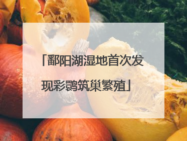 鄱阳湖湿地首次发现彩鹮筑巢繁殖