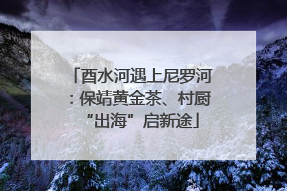 酉水河遇上尼罗河：保靖黄金茶、村厨“出海”启新途
