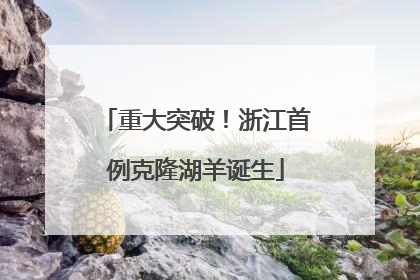 重大突破！浙江首例克隆湖羊诞生