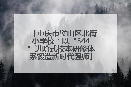 重庆市璧山区北街小学校：以“344”进阶式校本研修体系锻造新时代强师