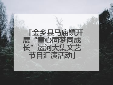 金乡县马庙镇开展“童心同梦同成长”运河大集文艺节目汇演活动