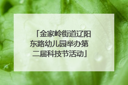 金家岭街道辽阳东路幼儿园举办第二届科技节活动