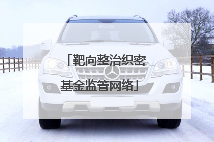 靶向整治织密基金监管网络