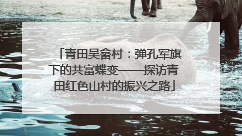 青田吴畲村：弹孔军旗下的共富蝶变——探访青田红色山村的振兴之路