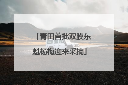 青田首批双膜东魁杨梅迎来采摘