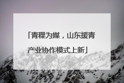青稞为媒，山东援青产业协作模式上新
