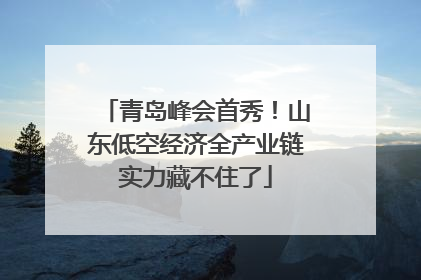 青岛峰会首秀！山东低空经济全产业链实力藏不住了