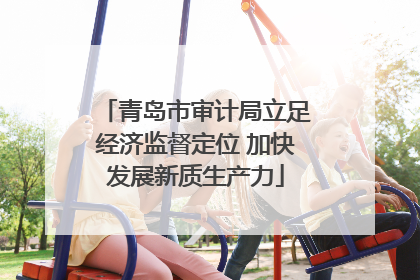 青岛市审计局立足经济监督定位 加快发展新质生产力