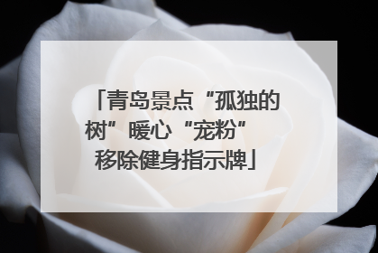 青岛景点“孤独的树”暖心“宠粉” 移除健身指示牌