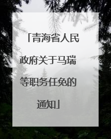 青海省人民政府关于马瑞等职务任免的通知