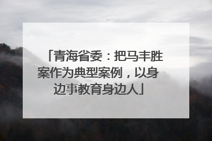 青海省委：把马丰胜案作为典型案例，以身边事教育身边人