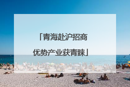 青海赴沪招商 优势产业获青睐