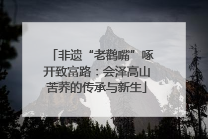 非遗“老鹳嘴”啄开致富路：会泽高山苦荞的传承与新生