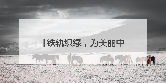 铁轨织绿，为美丽中国绘就生机“底色”
