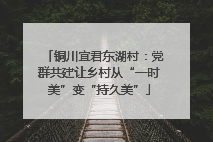 铜川宜君东湖村：党群共建让乡村从“一时美”变“持久美”