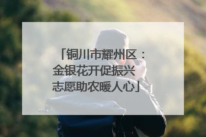 铜川市耀州区：金银花开促振兴 志愿助农暖人心