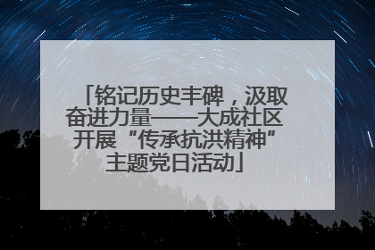 铭记历史丰碑，汲取奋进力量——大成社区开展“传承抗洪精神”主题党日活动