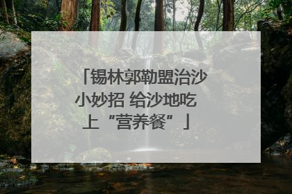 锡林郭勒盟治沙小妙招 给沙地吃上“营养餐”