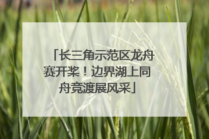 长三角示范区龙舟赛开桨！边界湖上同舟竞渡展风采