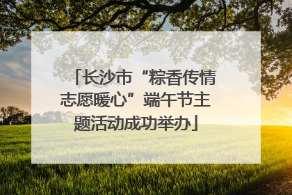 长沙市“粽香传情志愿暖心”端午节主题活动成功举办