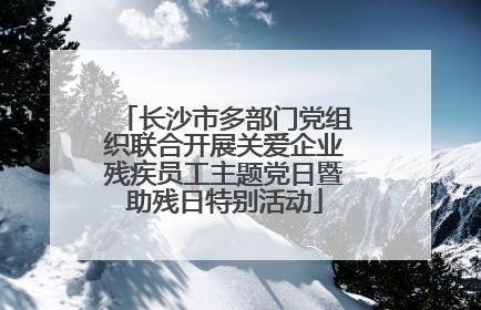 长沙市多部门党组织联合开展关爱企业残疾员工主题党日暨助残日特别活动