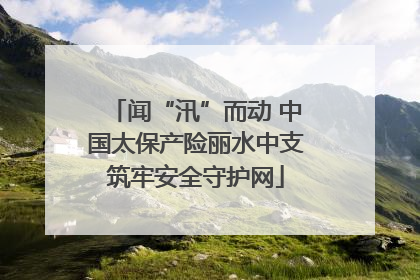 闻“汛”而动 中国太保产险丽水中支筑牢安全守护网