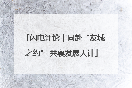 闪电评论｜同赴“友城之约” 共襄发展大计