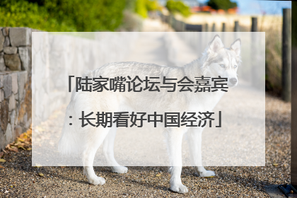 陆家嘴论坛与会嘉宾：长期看好中国经济