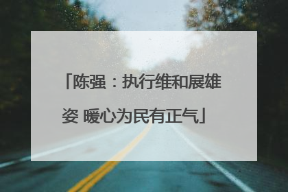 陈强：执行维和展雄姿 暖心为民有正气