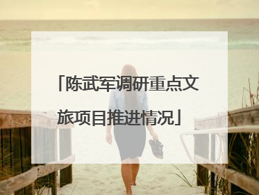 陈武军调研重点文旅项目推进情况