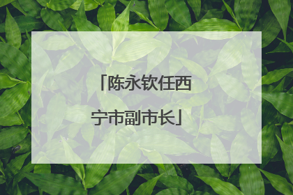 陈永钦任西宁市副市长