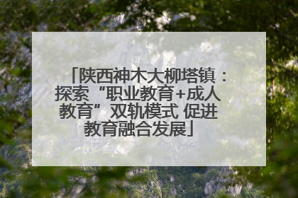 陕西神木大柳塔镇：探索“职业教育+成人教育”双轨模式 促进教育融合发展