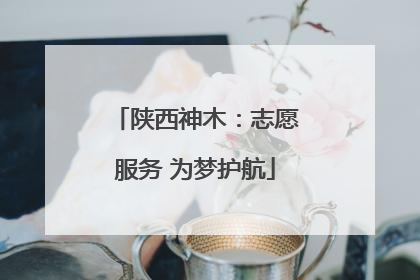 陕西神木：志愿服务 为梦护航