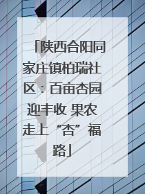 陕西合阳同家庄镇柏瑞社区：百亩杏园迎丰收 果农走上“杏”福路