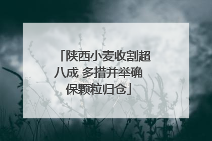 陕西小麦收割超八成 多措并举确保颗粒归仓