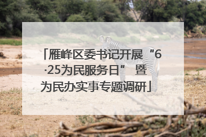 雁峰区委书记开展“6·25为民服务日” 暨为民办实事专题调研