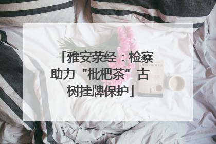 雅安荥经：检察助力“枇杷茶”古树挂牌保护