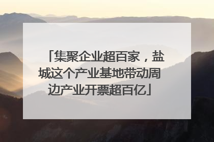 集聚企业超百家，盐城这个产业基地带动周边产业开票超百亿