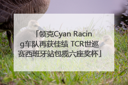 领克Cyan Racing车队再获佳绩 TCR世巡赛西班牙站包揽六座奖杯