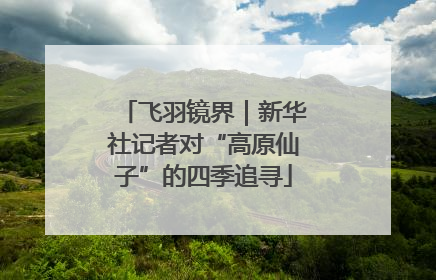 飞羽镜界｜新华社记者对“高原仙子”的四季追寻