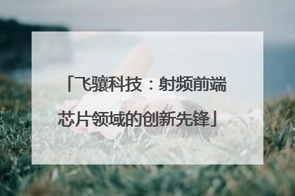 飞骧科技：射频前端芯片领域的创新先锋