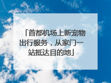 首都机场上新宠物出行服务，从家门一站抵达目的地