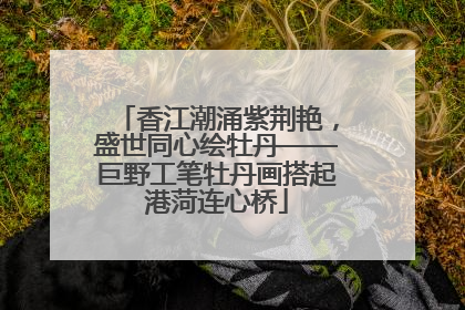 香江潮涌紫荆艳，盛世同心绘牡丹——巨野工笔牡丹画搭起港菏连心桥