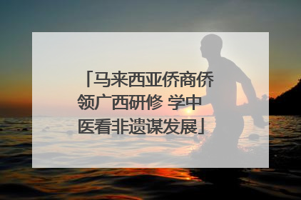 马来西亚侨商侨领广西研修 学中医看非遗谋发展