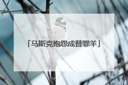 马斯克抱怨成替罪羊