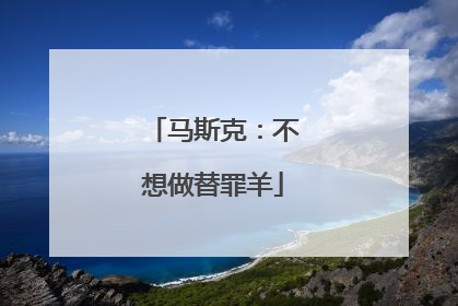 马斯克：不想做替罪羊