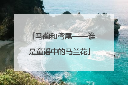 马蔺和鸢尾——谁是童谣中的马兰花