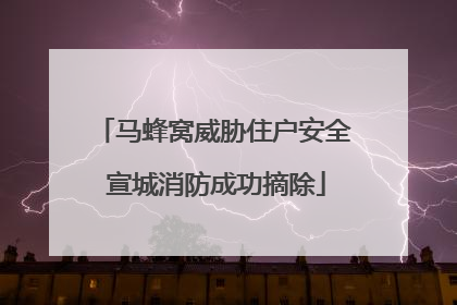 马蜂窝威胁住户安全 宣城消防成功摘除