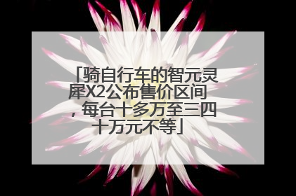 骑自行车的智元灵犀X2公布售价区间，每台十多万至三四十万元不等