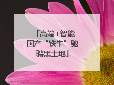 高端+智能 国产“铁牛”驰骋黑土地